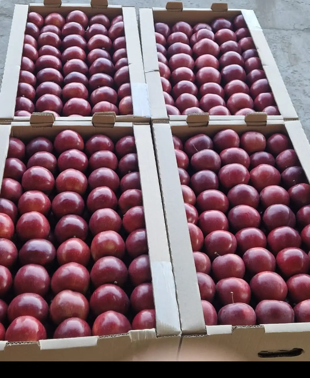 яблоко Ред Делишес